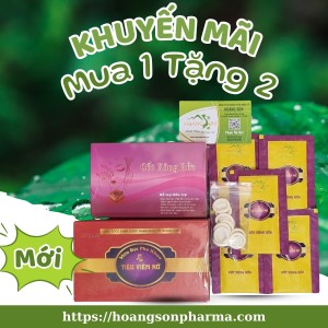 TIÊU VIÊM NỮ HOÀNG SƠN Chính Hãng 138K - Viên Đặt Phụ Khoa