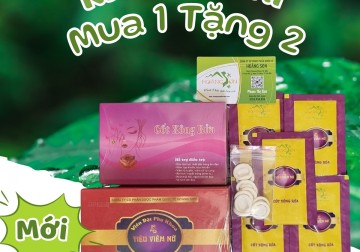 TIÊU VIÊM NỮ HOÀNG SƠN Chính Hãng 138K - Viên Đặt Phụ Khoa